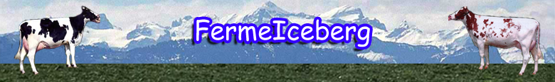 Ferme Iceberg Banner Image